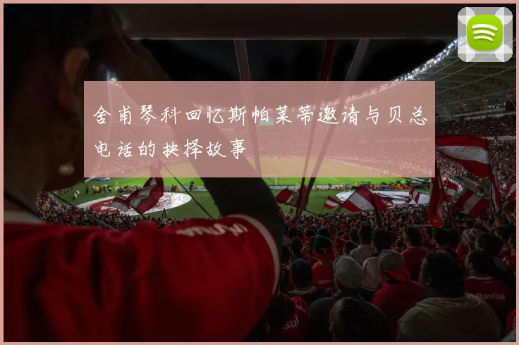 舍甫琴科回忆斯帕莱蒂邀请与贝总电话的抉择故事