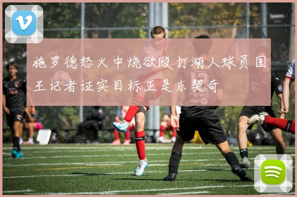 施罗德怒火中烧欲殴打湖人球员国王记者证实目标正是东契奇