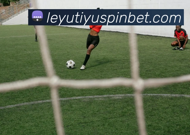 乐鱼体育发展历程